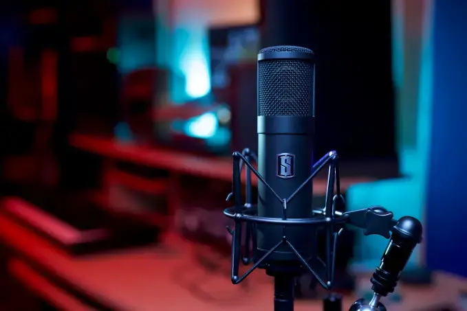Slate Digital ML-1 Modeling Microphone 2 De Slate Digital ML-1